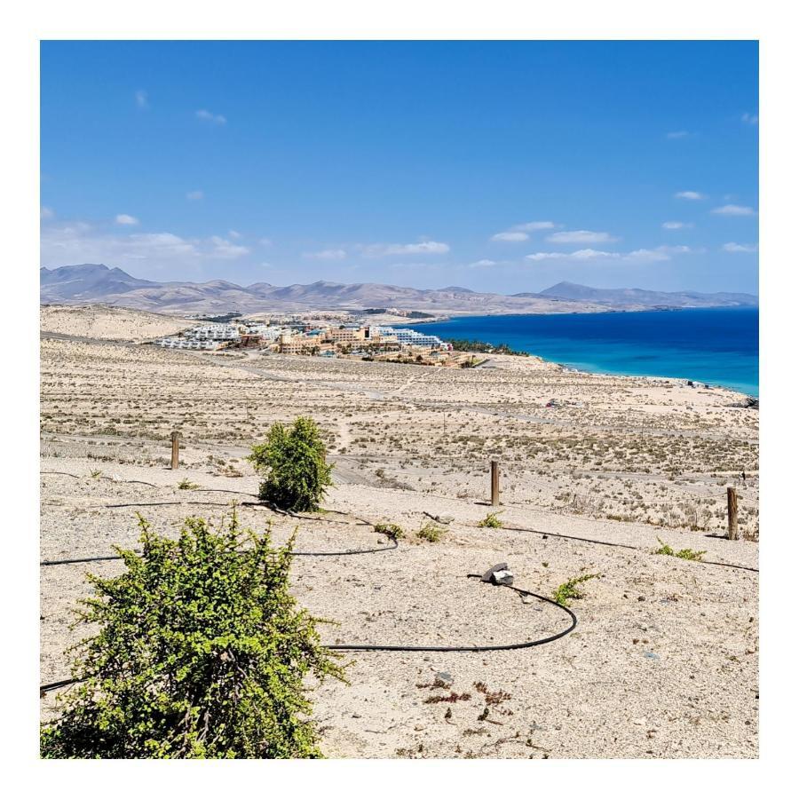 Your Ocean Blue Costa Calma Exterior foto